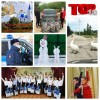 Лебеди, Храм и порядок – самые популярные новости 2020 года!