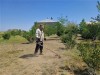 На улицах п. Михайловский ведутся работы по покосу травы. С сорной растительностью борются при помощи ручных бензокос. Вдоль дорог высокую поросль убирает трактор с прицепной роторной косилкой. В ходе работ особое внимание уделят общественным территориям, детским площадкам и социально значимым объектам.