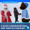 Новый год в каждый двор!