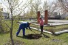 В п. Михайловский прошел Всероссийский субботник
