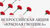Акция «КРАСНАЯ ГВОЗДИКА»