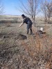 По поручению Губернатора Саратовской области Романа Бусаргина провели первый в этом году субботник.