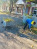 В п. Михайловский продолжается месячник по благоустройству