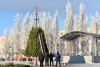 В преддверии праздника МО п. Михайловский преображается. На площади для досуга и проведения культурно-массовых мероприятий в микрорайоне Солнечный установили новогоднюю ёлку.