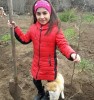 В связи с временным запретом на проведение массовых мероприятий, жителям п. Михайловский были предложены дистанционные форматы проведения и участия в акции "Сад Памяти"