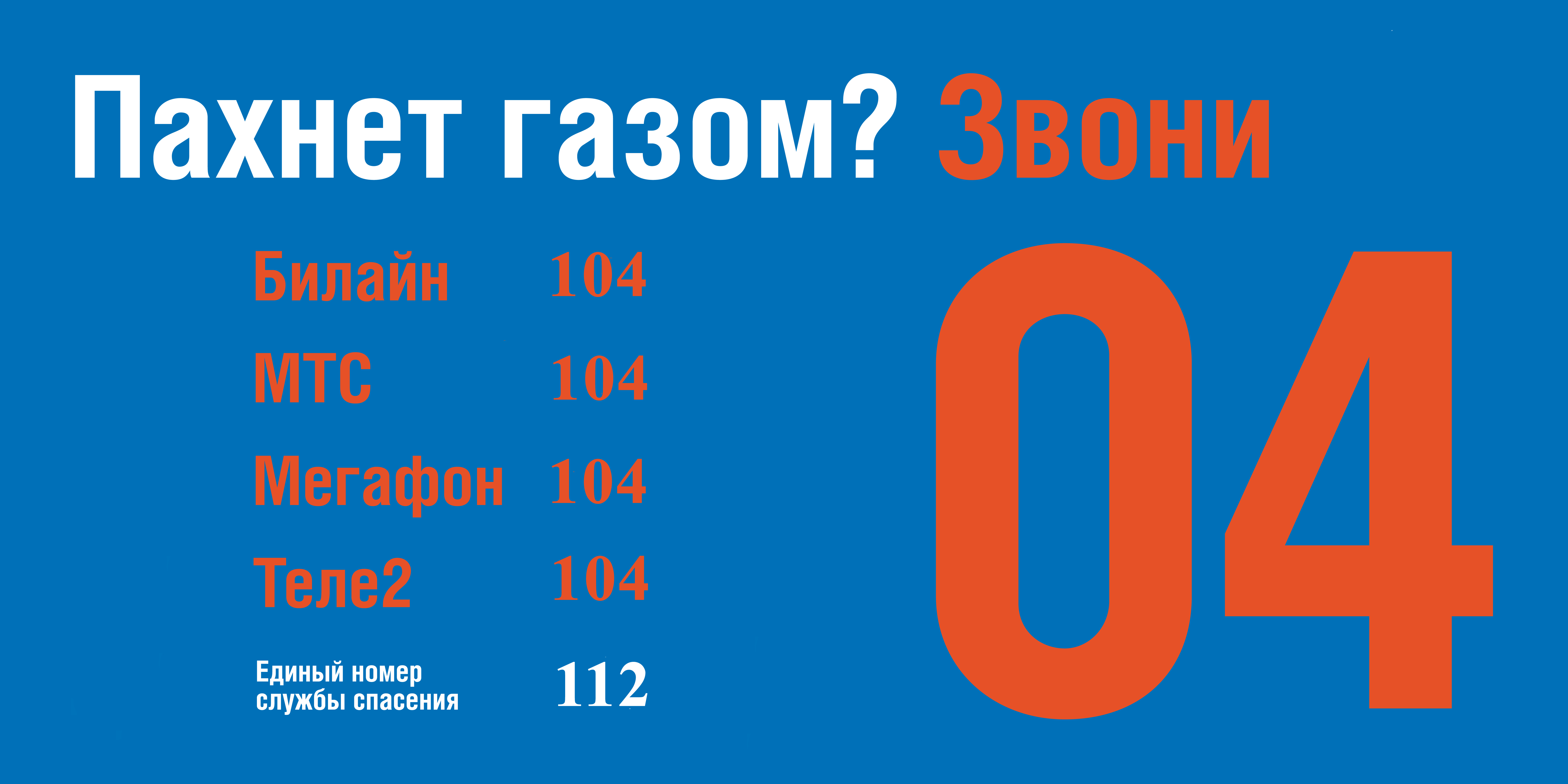 Баннер 6 на 3_10